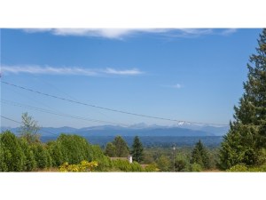 Terrific mountain view